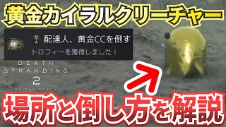 mqdefault.jpg