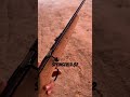 #Rifle #Springfield #Model 82