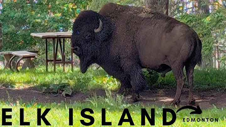 ELK ISLAND NATIONAL PARK - EDMONTON