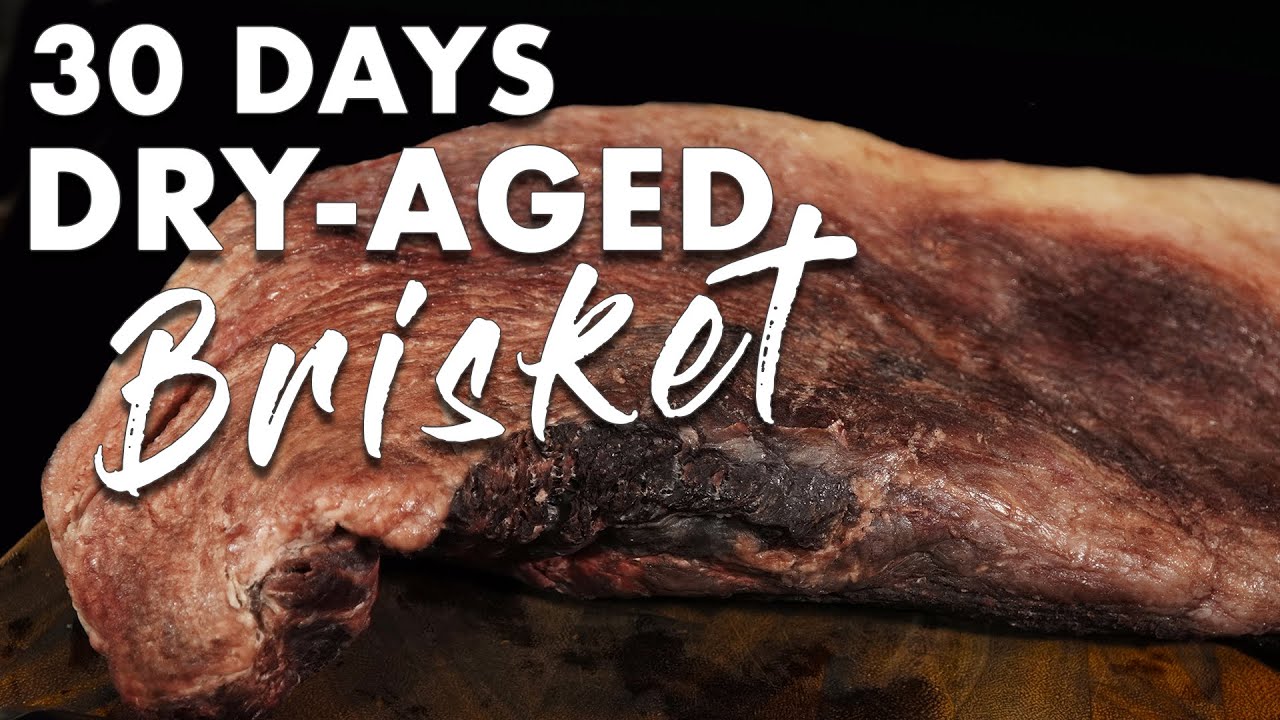 30 DAYS DRY-AGED BRISKET Experiment | Salty Tales 30 DAYS DRY-AGED BRISKET Experiment | Salty Tales