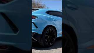 Lamborghini Urus Sound satisfying lamborghini supercar shorts sound urus ontario toronto