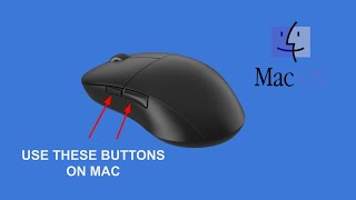 How to Use the Side Buttons on a Mouse (Mac OS)