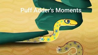 Puff Adders Moments all Compilation tinga Tinga Tales