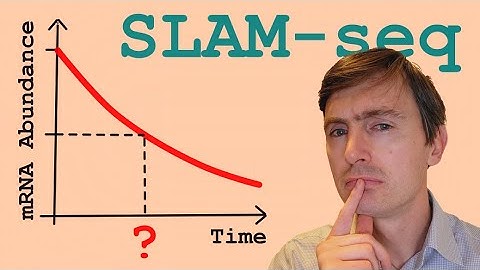 BASIC SLAM-seq analysis explained. From raw data to HALF-LIFE values in four simple steps.