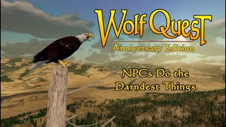 NPCs Do the Darndest Things
We’re excited to release this update, which has a bunch of bugfixes and minor improvements, plus some bigger and more exciting new features that give the NPC residents of our WolfQuest world more to do: from hunting to fighting to just hanging out. It’s available now and should auto-update via Steam or the WolfQuest launcher.
NEW ANIMAL BEHAVIORS:
* Stranger wolves (dispersals and pack wolves) hunt prey.
* Bull elk rut: Bull elk challenge the resident bull in a large herd to a fight, involving a lot of bugling, circling, and clash of antlers.
* Buck mule deer rut: Buck mule deer will converge near small doe herds and challenge each other to a fight, involving a lot of circling, eyeing each other, and antler clashes. Since mule deer dont live in herds as elk do, this is harder to witness. Try following mule deer scents and hope to find a situation where two males have converged on a family group of does and fawns.
* Eagles are present throughout the game world: flying around, perching on dead trees, and hunting. Bald eagles hunt fish in the Lamar River while Golden eagles (new species!) hunt snowshoe hares.
* Ravens are present throughout the game world.
* Coyotes hunt snowshoe hares.
* Foxes hunt small prey.
OTHER NEW AND IMPROVED THINGS:
* Custom markers on the World Map now appear on the Compass (faded with distance).
* Added a third Gore level, now No Gore (carcasses do not turn bloody), Low Gore (carcasses turn bloody), and More Gore (carcasses turn bloody and skeleton and innards revealed during consumption.) The original intent was for Low Gore to be as described here, but it inadvertently switched to what were now calling No Gore. Weve renamed Low to No so it preserves your previous visual effect, but you can change it to Low Gore if you want a bit of blood.
* Carcasses have improved textures (fur only on the skin, not on the exposed innards).
* Adjusted colliders on the rock at the top of Fairies Falls. Should be possible to jump onto it, and should be quite hard to get stuck.
* Player wolf will sometimes crouch when facing an opponent, preparing to attack.
* Moon casts shadows at night.
* Competitors should be less likely to get stuck running in circles near you.
* Minor performance improvement when many elk are spawned in vicinity.
* Controller support: Added a steering sensitivity slider for controllers. (Many more improvements for controllers still to come.)
* Stranger territory audio now part of Interface Audio (so not muted if music is muted).
* Animals use walking turn more now, dont do the spin-in-place turn except in urgent situations.
* Bite cursor should be hidden in Photo Mode.
* Removed mate from badword filter for wolf bio.
BUGS FIXED
* Animals sometimes have snow on them when it hasnt been snowing.
* Weird snow pattern on bears.
* Sometimes grass density settings dont persist in later game sessions.
* Unable to save your game or overwrite existing saved game (fixed a couple bugs; there may be others still)
* Ravens gather at some distance from carcass.
* When running in dual-monitor setup, with game on one screen in Fullscreen Windowed mode, game minimizes when you click on other screen.
* Elk calves have Cow Elk label.
* Fox fur looks bad.
* On some computer systems, the mouse cursor has hand grab icon instead of pointer.
* In My Wolves in main menu, sometimes one wolf is missing, and arrows are missing too so cant select another wolf.
* Dispersal wolf is occasionally frozen.
* The So Sleepy, Bug... alert is missing text.
* Grass sometimes bends quite excessively in the wind.
* Improved lighting on trees when viewing towards sun.
* Reduced acceleration and deceleration speeds for cougar, coyote and fox.
* In Basic mode, some areas have grass when grass is disabled.
* In Customization, fur pokes through radio collar if you change coats after choosing the collar.
* In Basic graphics mode, at some places in the game world, some distant terrain sections are missing.
* Can get stuck on far side of Lamar River, stuck between two world-edge barriers.
* Thin vertical lines appear around grass in Basic graphics mode.
* Controller: Fixed incorrect labels on Controller Help image (ack!)
* Sometimes wolves dont growl or snarl during wolf fights.
* Various terrain tweaks. NPCs Do the Darndest Things
