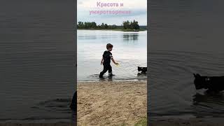 #дети #lake #family #weekend #dog #kids #селигер #развлечения #семья