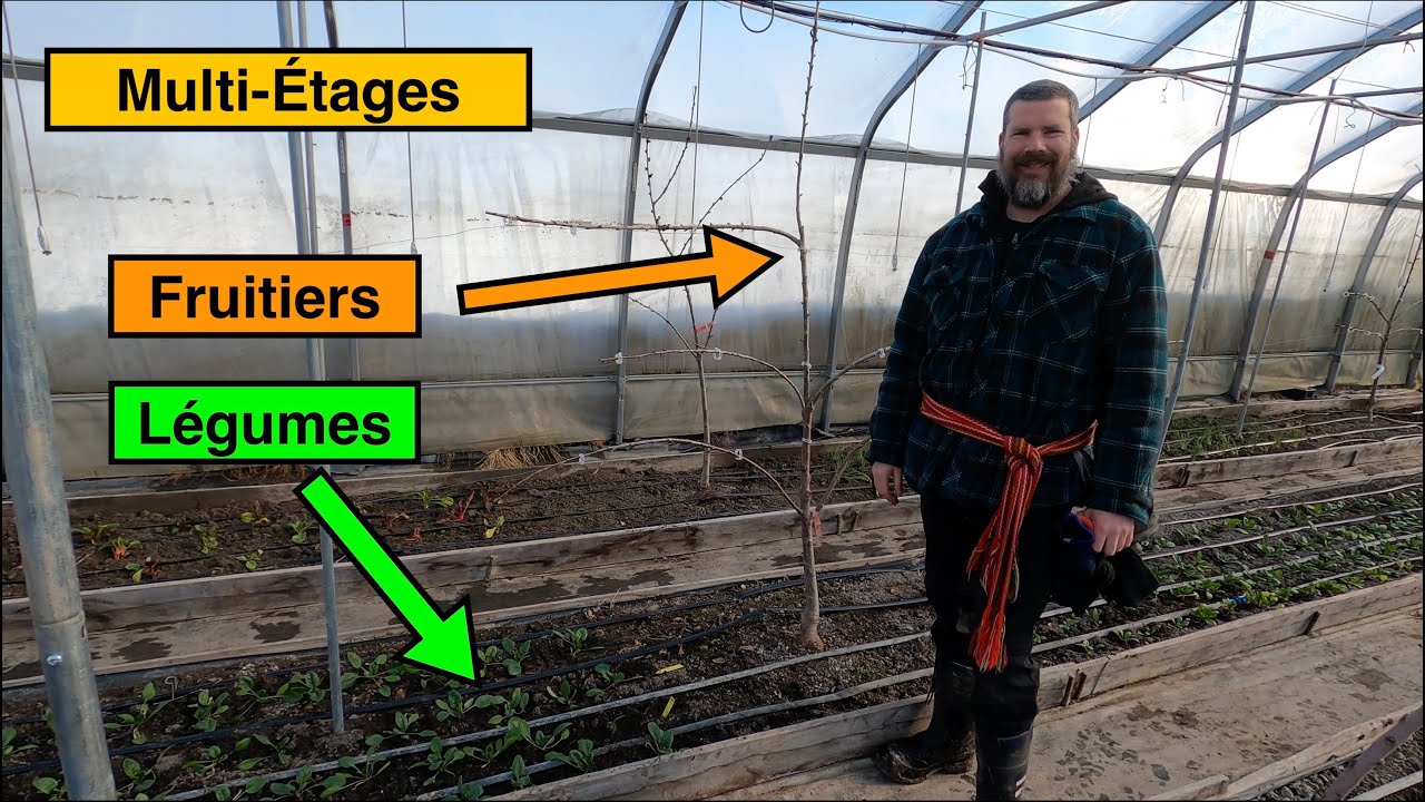 Fruitiers & Légumes en Serre avec Mattéo (Hiver)