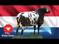 HAVE YOU SPOTTED THESE DUTCH SHEEP YET?