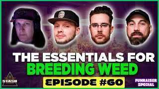 What You Need to Know to Breed Your Own Genetics wsg. VaderOG - From the Stash Podcast Ep. 60