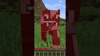 #exloader #cheat #hack #cheats #hacks #mod #hvh #minecraft #cheatclient #aristois