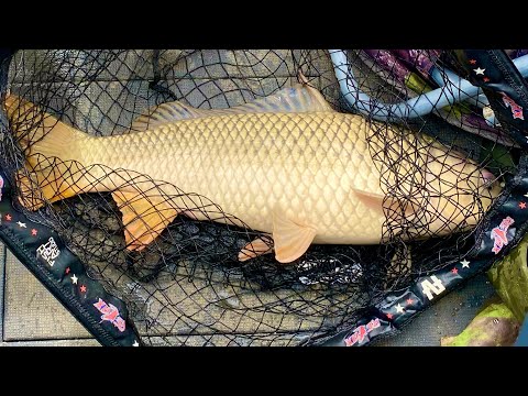 THIS IS HOW WE LOOK FOR FISH EXPLORING NEW PLACES fishing for pike perch