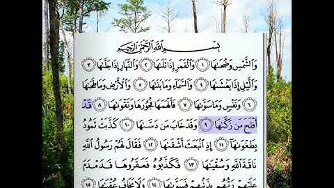 سورة الشمس بصوت الشيخ أكرم العلقمي