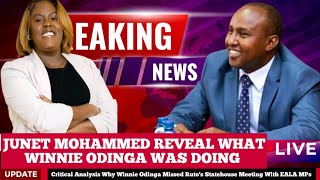 Junet Mohamed Revealed Crucial Reason Why Winnie Odinga Missed Out Ruto's EALA MPs Meeting