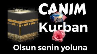 Canım Kurban Olsun Senin Yoluna / Müziksiz İlahiler Kanalı Resimi