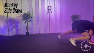 Monkey Side Crawl