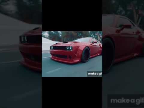 Anime Dogo Challeger Animestyle