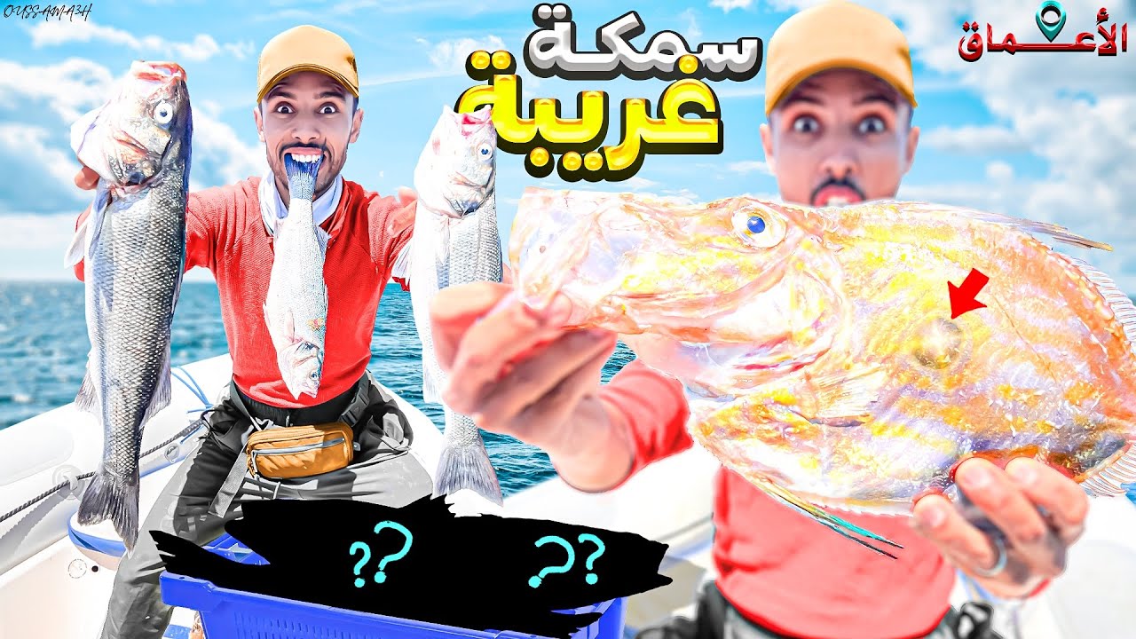 حياة البحار:تحدي الصيد🐟 في أعماق البحار🌊 وصيد أنذر الأسماك💎