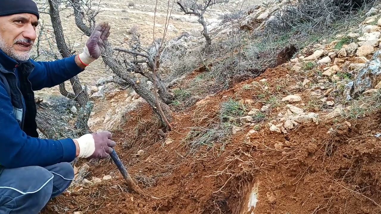 ÇALIDAN AĞAÇ ÇIKARMAK (04)