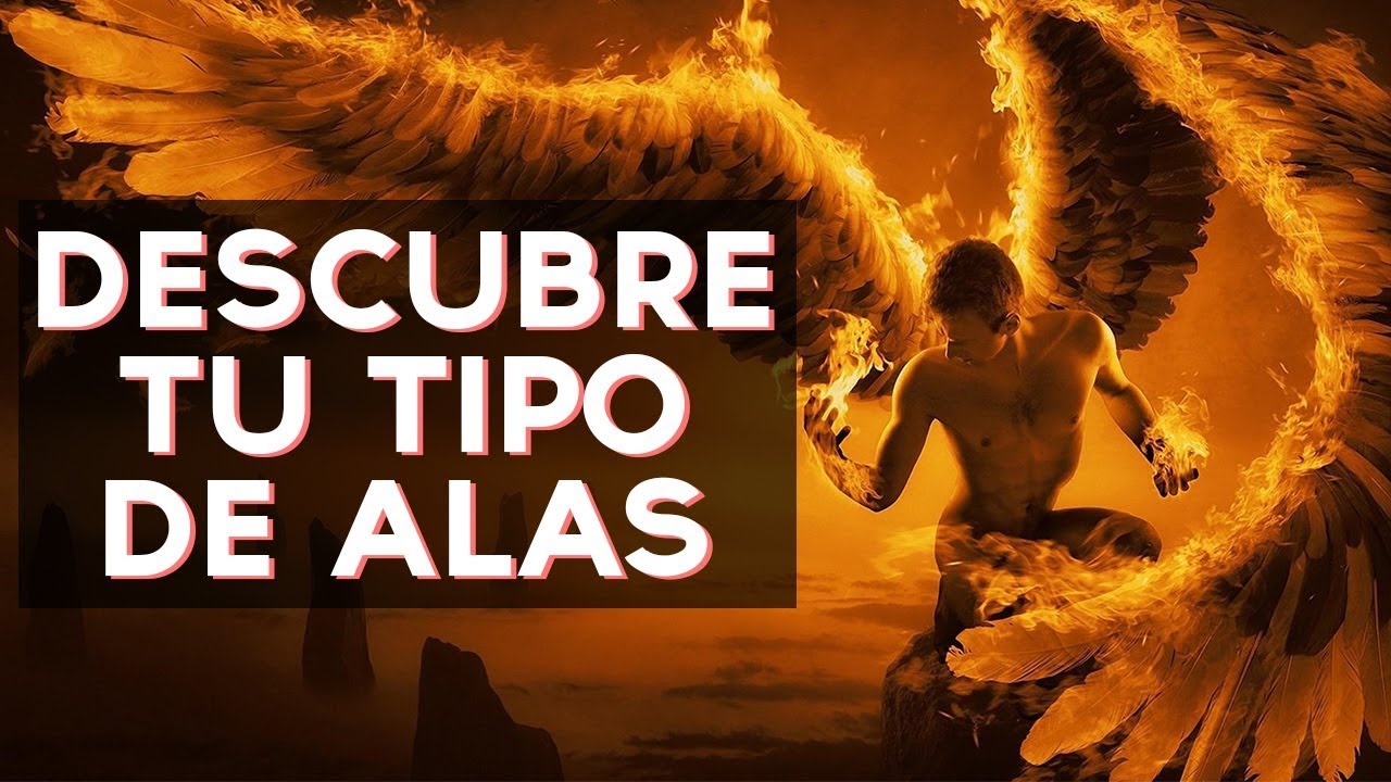 ¿Qué tipo de alas tienes? | Test Divertidos