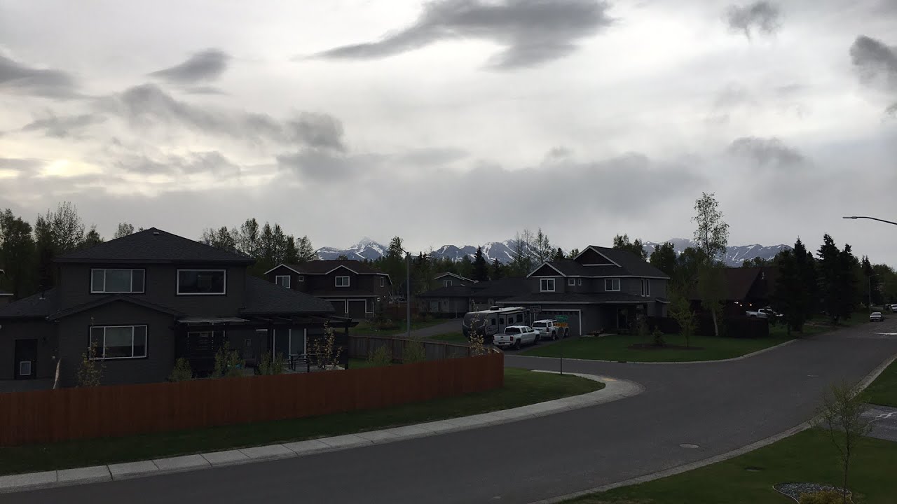 Bear Watch In My Neighborhood Anchorage Alaska YouTube