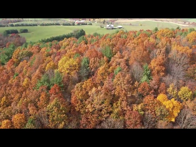 The last of the good fall colors. Viewed by #drone.  Music by Hootie & the Blowfish class=