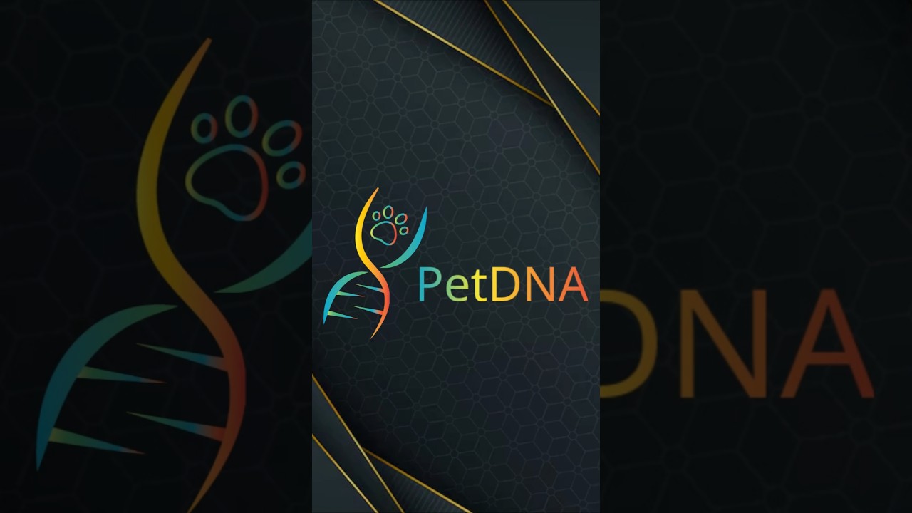 PetDNA: The First Step in Understanding Your Pet Like Never Before 🐾 