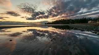 Short video nature's james wheeler 4063585 1920x1080 30fps