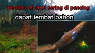 spot yg sering di pancing orang  ikan nya masih bnyak?