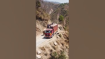 ELEPHANT PUSHES BUS OFF NARROW CLIFF ROAD | SHOCKING AI JUNGLE SCENE | AI-GENERATED