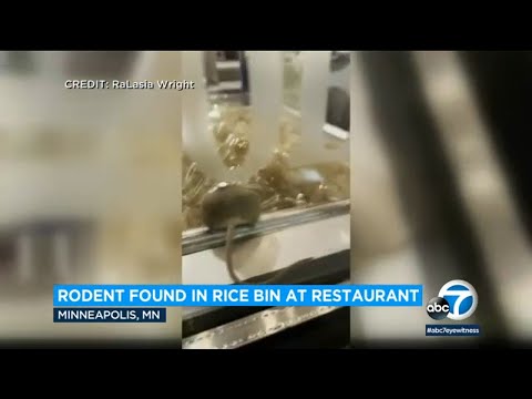 Santa Fe Rice Rat
