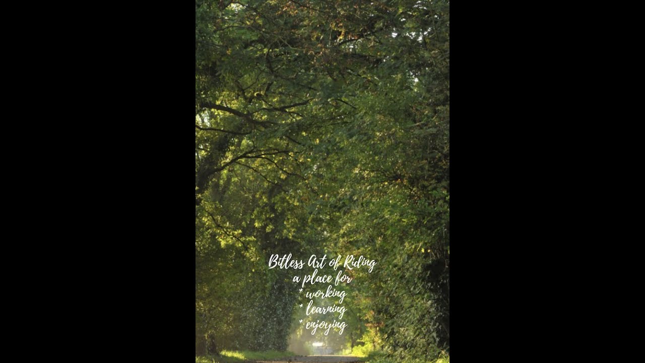 Working student - trailer | JOSSY REYNVOET