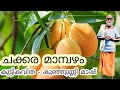 ചക്കരമാമ്പഴം | കുഞ്ഞുണ്ണി മാഷ് |കുട്ടികവിത | kunjunnikavithakal