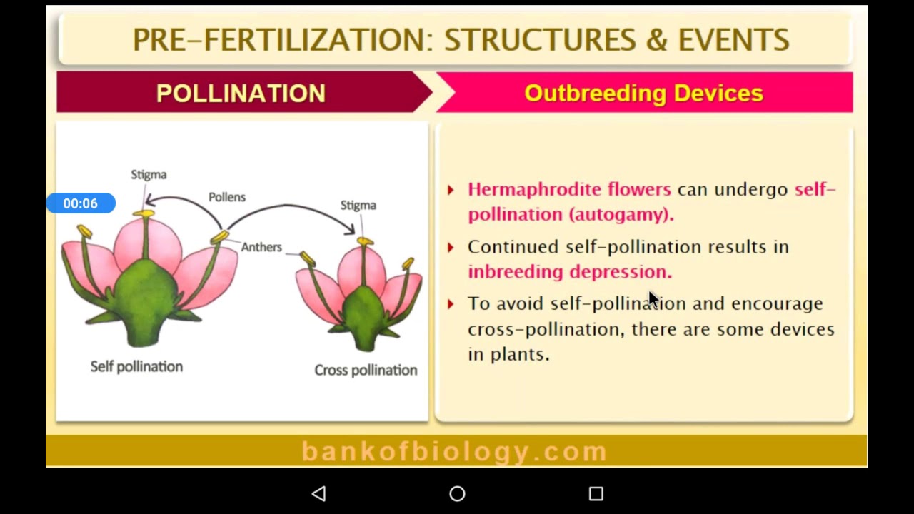 12Bio-Sexual reproduction in flowering plants-outbreeding devices