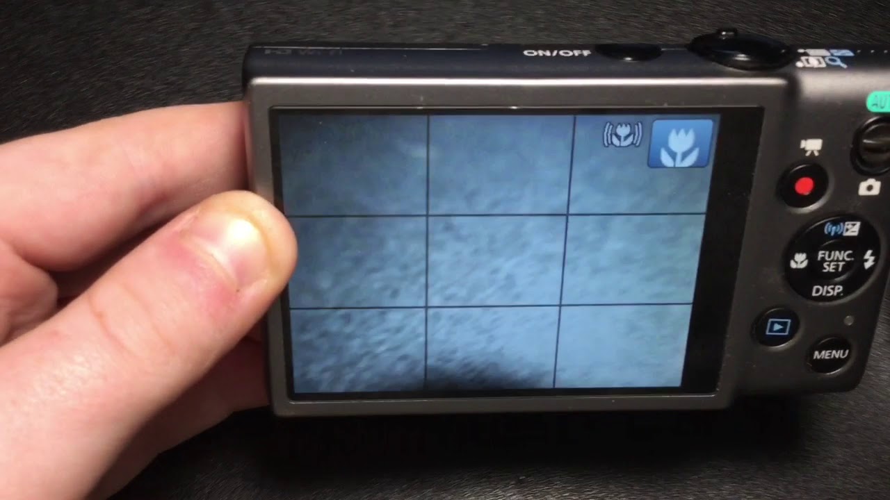 Cannon Powershot Elph 130 IS Camera Review