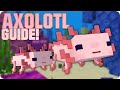 Axolotl Guide | Züchten, Verhalten &amp; Eigenschaften | Minecraft