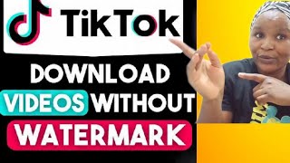 TikTok Downloader 2025 – No Watermark, No App Needed!  screenshot 3