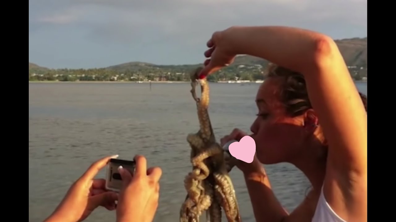 Girl kisses fire squid 📛immediately regrets📛