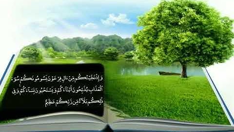 سورة البقرة قراءة وصوت الآيات (49 :53)