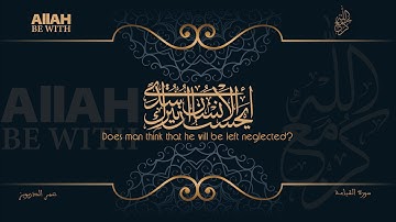 أَيَحْسَبُ الْإِنْسَانُ أَنْ يُتْرَكَ سُدًى | سورة القيامة - عمر الدريويز