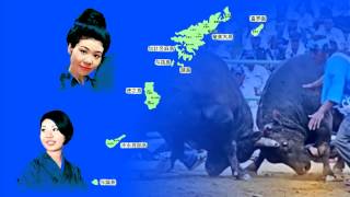 奄美航路 大島ひろみ オオシマヒロミ 検索動画8 奄美航路 大島ひろみ オオシマヒロミ 検索動画 8