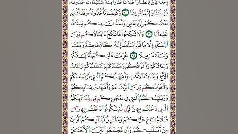 سورة النساء ص81/المنشاوي