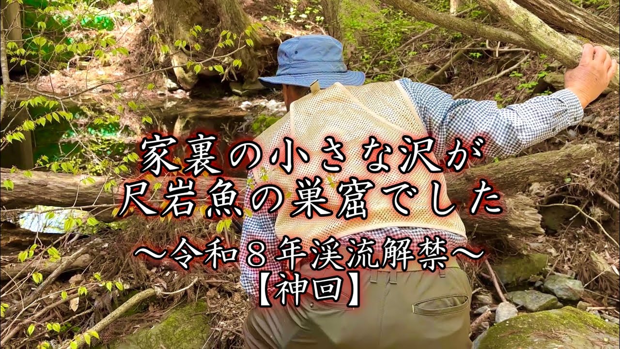 【渓流釣り】源流で巨大岩魚を釣りまくる仙人サバイバル。絶対に釣りに行きたくなる動画。
