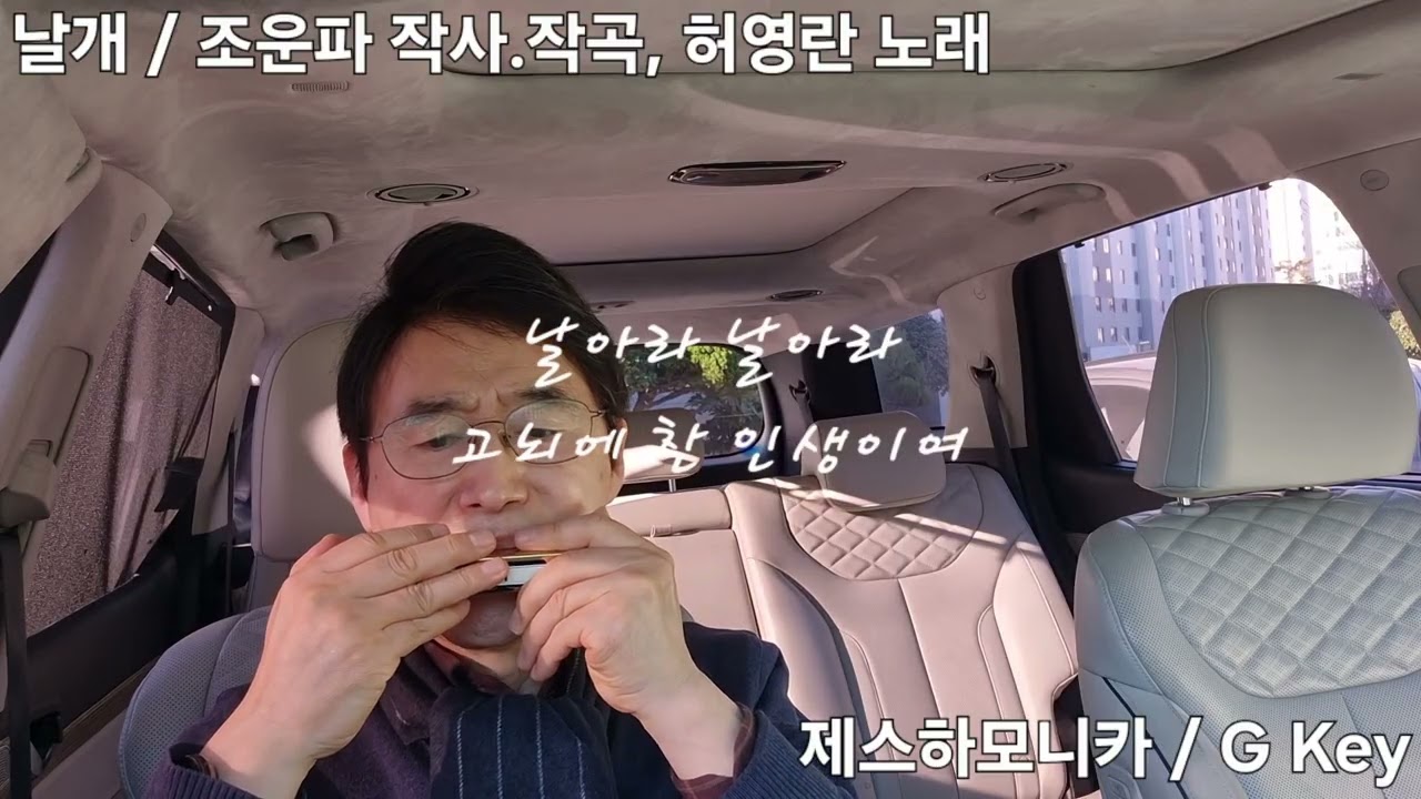 날개 / 허영란 노래 _ 하모니카 연주 (Harmonica Cover) (G Key)