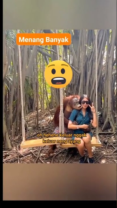 menang banyak si otong #shorts #ytshorts #youtubeshorts #monyet #simpanse #meme #kocak