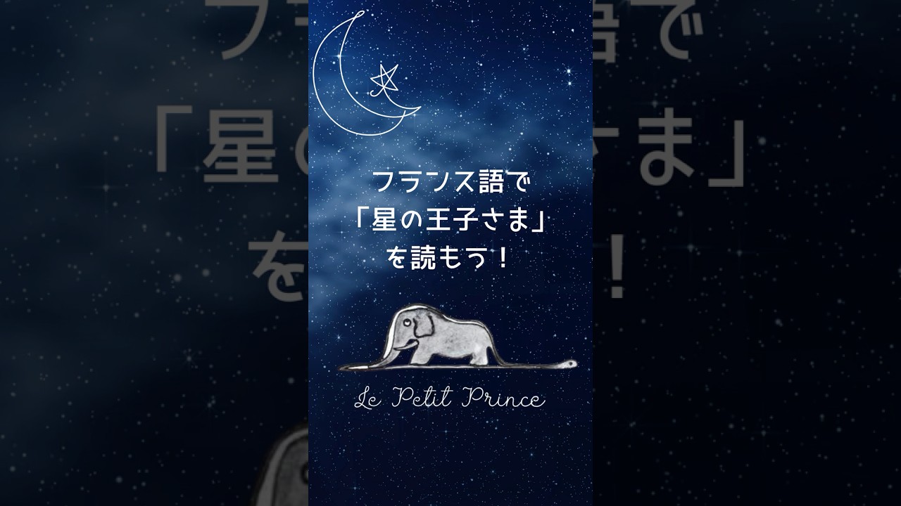 Read The Little Prince in French a little at a time every day