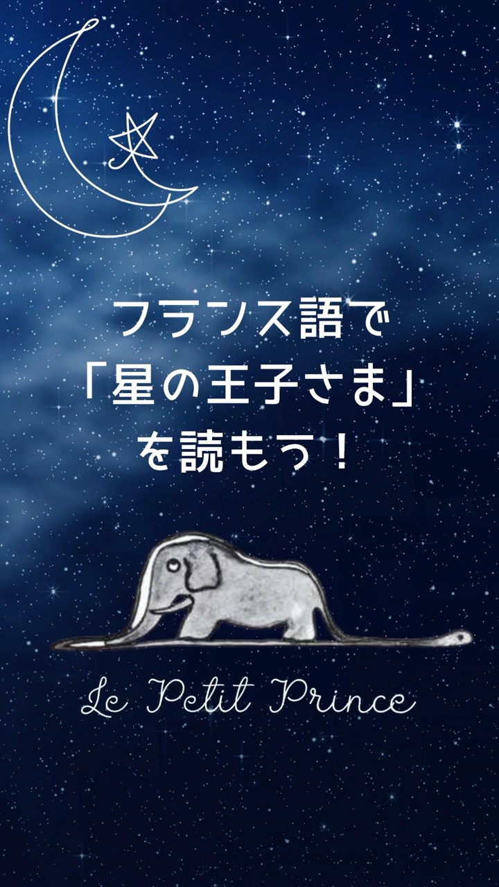 Ël Cit Prinsi 星の王子さま ピエモンテ語版 99 Read The Little Prince in French a little at a time every day