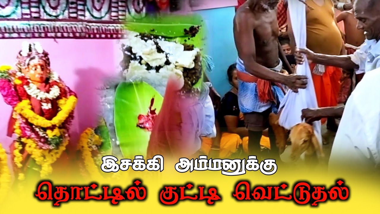 விநோதமான வழிபாடு | கணியான் தாலாட்டு பாடி தொட்டிலில் போட்டு ஆட்டி இசக்கி அம்மனுக்கு பலி கொடுத்தல் |