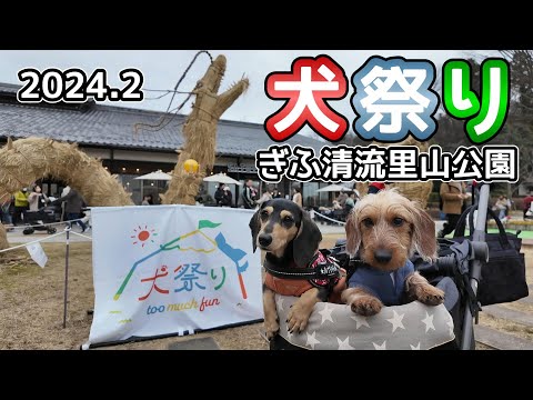 ダックスがいっぱいの「犬祭り」で楽しい時間を過ごした【ミニチュアダックスフンド】ぎふ清流里山公園