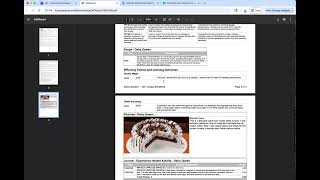 How to Create an SAE Report in AET