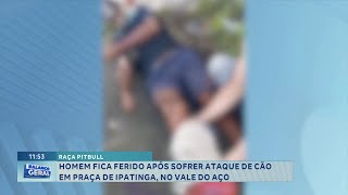 Raça Pitbull Homem Fica Ferido Após Sofrer Ataque De Cão Em Praça De Ipatinga, No Vale Do Aço.